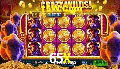 cassino 65X